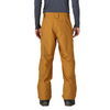 Patagonia Men's Powder Town Pant - Short