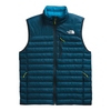 The North Face Men's Terra Peak Vest