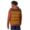 Patagonia Men's Downdrift Vest