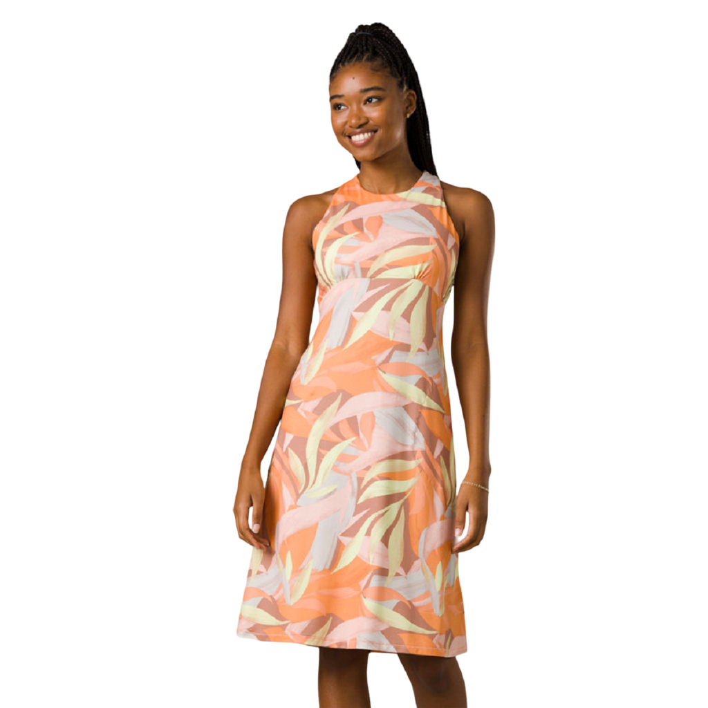 Women's Jewel Lake Dress prAna – J&H Outdoors